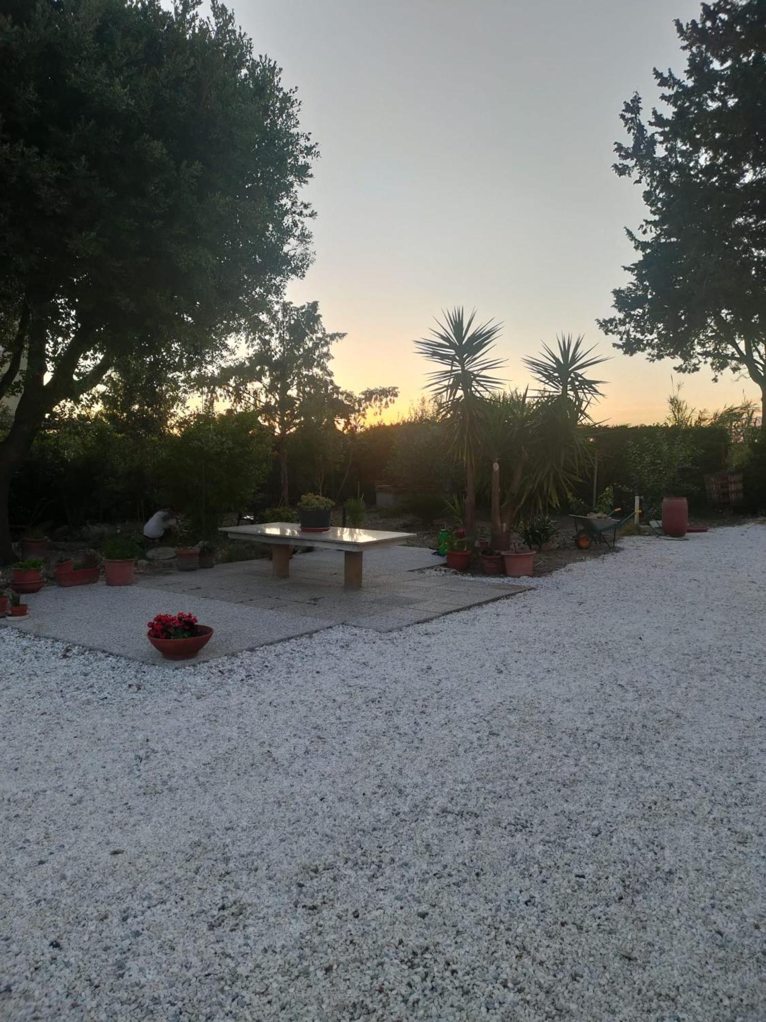 Il Leccio Agriturismo Fiorino Exteriör bild