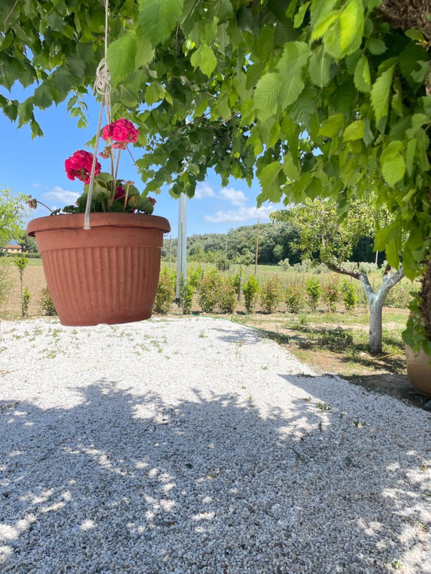 Il Leccio Agriturismo Fiorino Exteriör bild