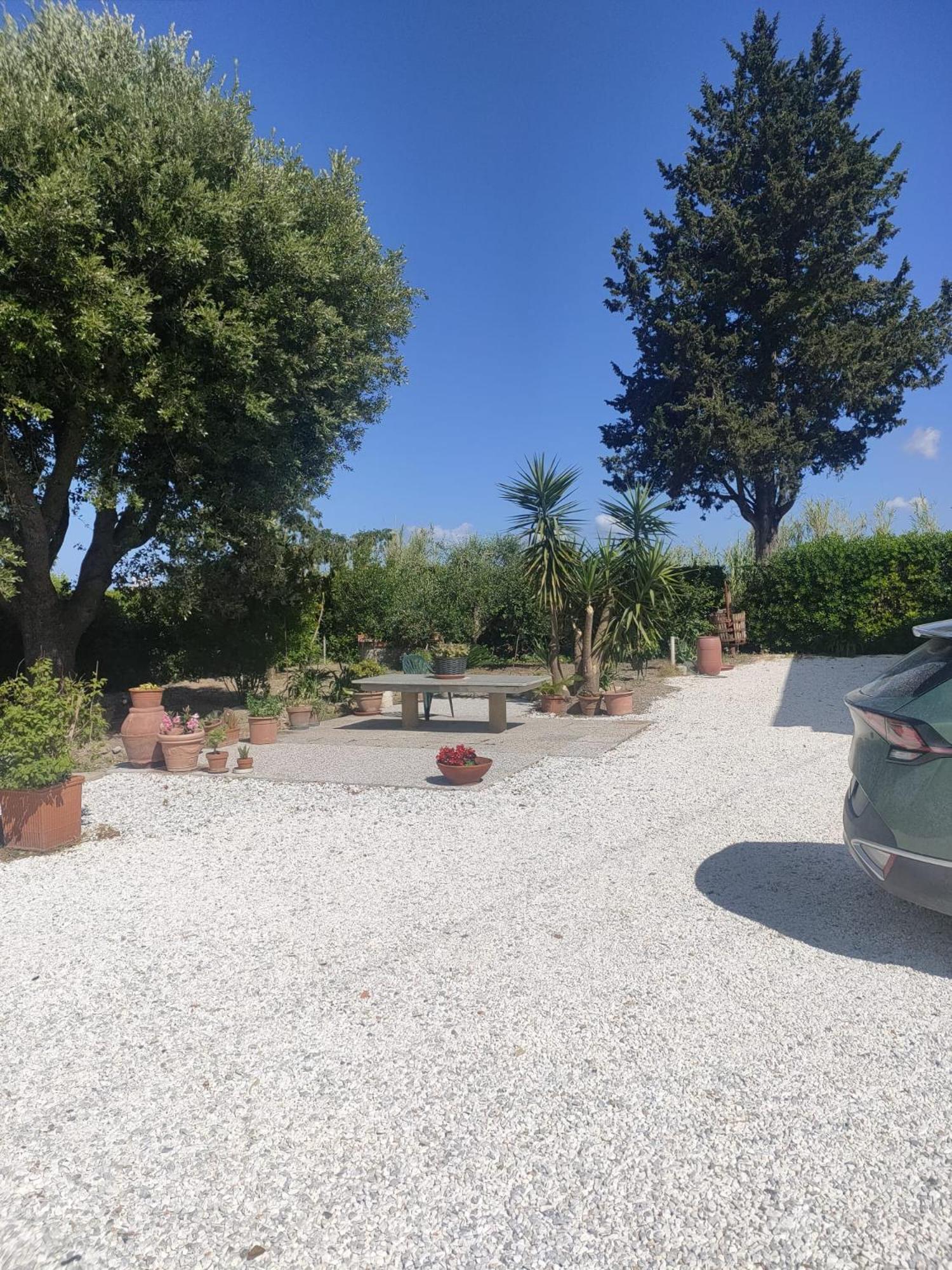 Il Leccio Agriturismo Fiorino Exteriör bild